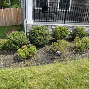 Bush Trimming by Don West Cutting reviewed on August 18, 2025