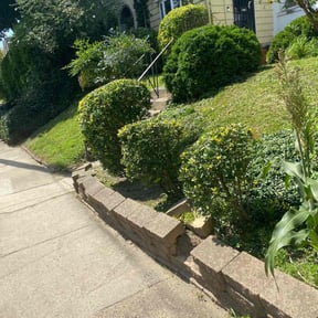 Bush Trimming by Brandonβs property services reviewed on August 17, 2025