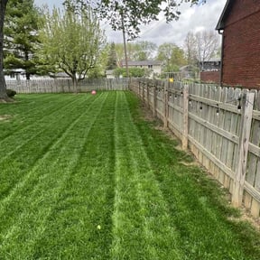 yard maintenance by Carpenters Lawn Care reviewed on November 22, 2025