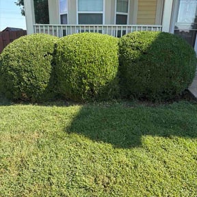 Bush Trimming by A&amp;j s Landscaping and design llc reviewed on August 26, 2026