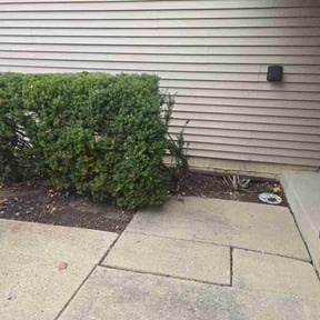 Leaf Removal by Banks lawn care reviewed on October 22, 2026