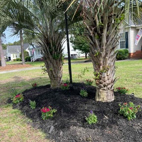 Landscaping by Southern Sunscapes reviewed on August 15, 2025