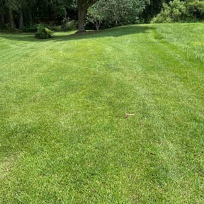 yard work by Gallaghers greens reviewed on November 20, 2025