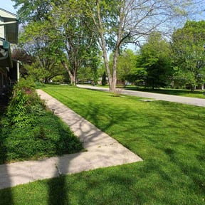 lawn service by Precision stripes reviewed on April 26, 2025