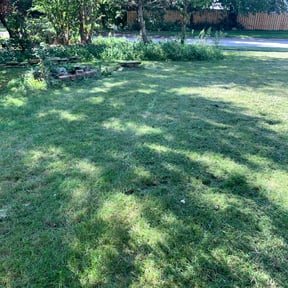Leaf Removal by Greg&#039;s Lawn Service reviewed on September 18, 2025