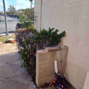 Bush Trimming by Green Machine LLC reviewed on January 8, 2026