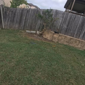 Bush Trimming by Penneys landscape reviewed on August 19, 2025