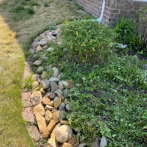 Bush Trimming by Mow Betta Lawns reviewed on August 20, 2025