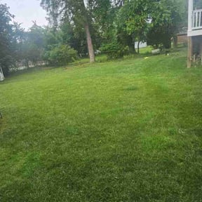 Leaf Removal by Michael's Lawn Maintenance reviewed on August 15, 2025
