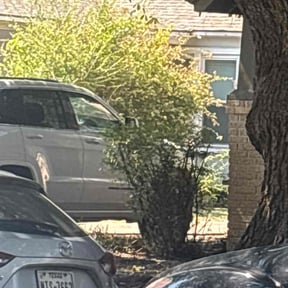 Bush Trimming by GMP Solutions reviewed on November 9, 2025