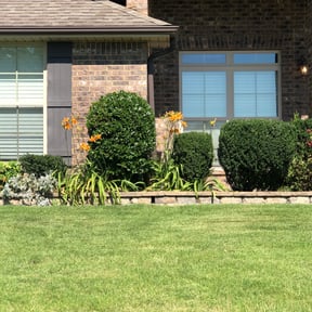 turf care by Martin LLC reviewed on August 8, 2025