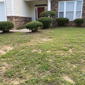 Bush Trimming by Pringle's landscaping llc. reviewed on May 1, 2024