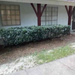 Bush Trimming by Nicolson&#039;s reviewed on October 18, 2025