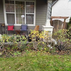 Bush Trimming by Precision Lawncare reviewed on November 21, 2025