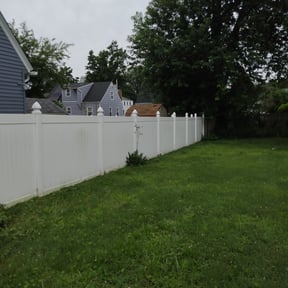 Bush Trimming by Matt's lawn reviewed on August 18, 2025