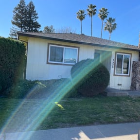 Bush Trimming by American lawn & Tree services reviewed on August 15, 2025