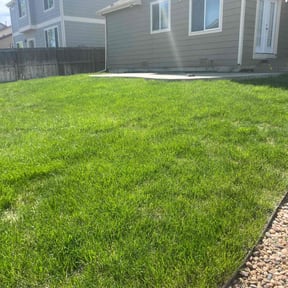 landscaping services by None reviewed on August 20, 2025