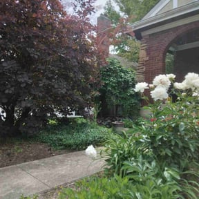 Bush Trimming by Lindsey's Lawn Service reviewed on August 18, 2025