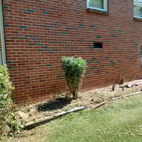 Bush Trimming by The guy property maintenance reviewed on August 19, 2025