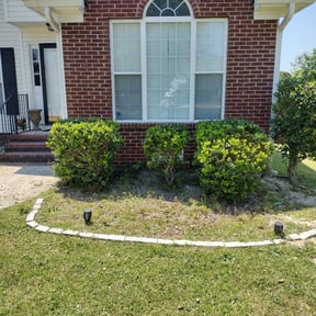 Bush Trimming by ROBIN HOODS GRASS & LANDSCAPING LLC reviewed on August 19, 2025