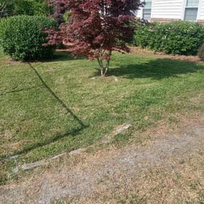 Bush Trimming by Trusty's Lawn Care reviewed on April 19, 2026