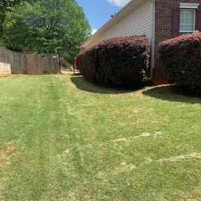Bush Trimming by Ball Lawn Care LLC reviewed on August 17, 2025