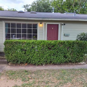 Bush Trimming by Duckies Outlaw Maintenance & More LLC reviewed on August 16, 2025