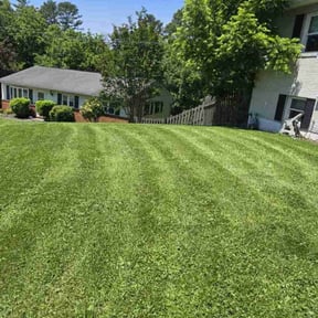 landscaping services by Pinedas lawn mowing pro reviewed on August 19, 2025