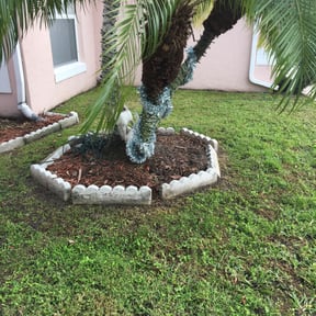 Flower Bed Weeding by Parker Landscape &amp; Maintenance reviewed on November 18, 2025