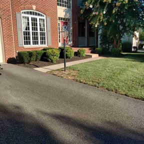 Bush Trimming by Pristine Properties LHS reviewed on August 18, 2025
