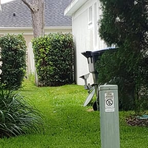 Bush Trimming by Good & Green Grounds Maintenance LLC reviewed on August 18, 2025