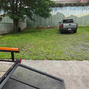 Leaf Removal by Derrick carpentry reviewed on June 4, 2026