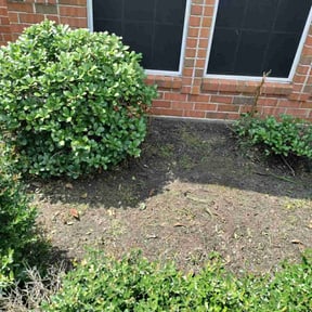 Flower Bed Weeding by Wladimir Delia reviewed on October 20, 2025