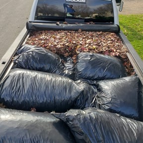 Leaf Removal by Forsyth Lawn Care reviewed on August 20, 2025