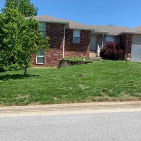 yard care by Mann Services reviewed on August 17, 2025