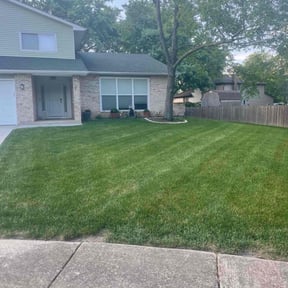 landscaping services by Trevor Hall reviewed on August 19, 2025