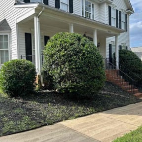 Bush Trimming by Metroscapes Lamdscaping Services reviewed on December 10, 2025