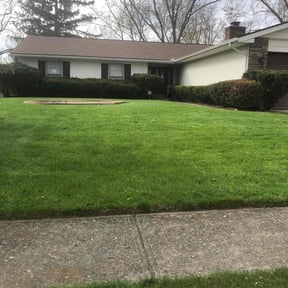 residential landscaping by Ort'z VIP Landscaping reviewed on August 21, 2025
