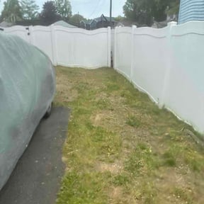 Leaf Removal by Bigdogs Property Maintenance reviewed on May 29, 2026