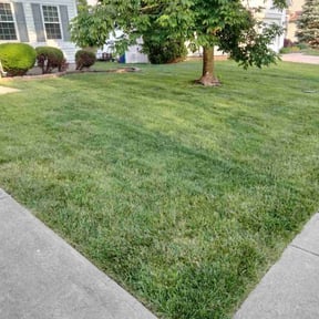 landscaping by Mac's Property Detail reviewed on August 19, 2025