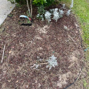Flower Bed Weeding by Da Grind Lawncare reviewed on August 19, 2025