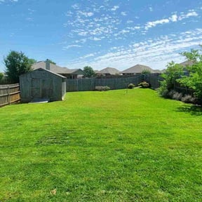 grass maintenance by All Trim Lawn Services, Inc. reviewed on August 19, 2025