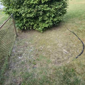 Flower Bed Weeding by Caring Contractors LLC reviewed on November 24, 2025