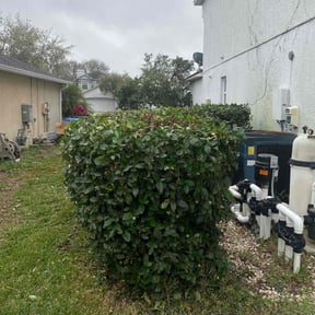 Bush Trimming by Custom Remodeling and Restoration reviewed on August 15, 2025