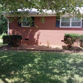 Bush Trimming by All Mowing Services reviewed on August 17, 2025