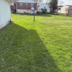 lawn care by Robert Dukes Kut Pro Lawn Maintenance reviewed on April 20, 2024