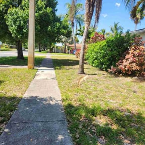 Bush Trimming by Sunnyside of Hillsborough reviewed on August 19, 2025