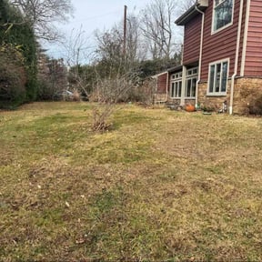 Leaf Removal by Blazin Scapes LLC reviewed on December 11, 2025