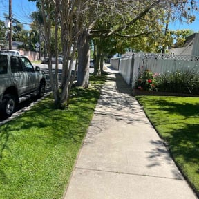 yard care by Mcclung Home Remodeling and Addition reviewed on August 17, 2025