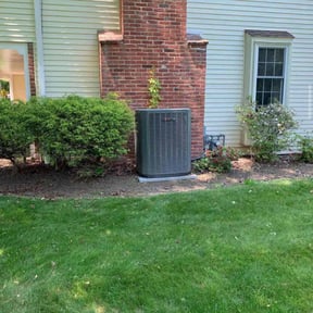 Bush Trimming by Green Horizon Lawn Care LLC. reviewed on August 20, 2025